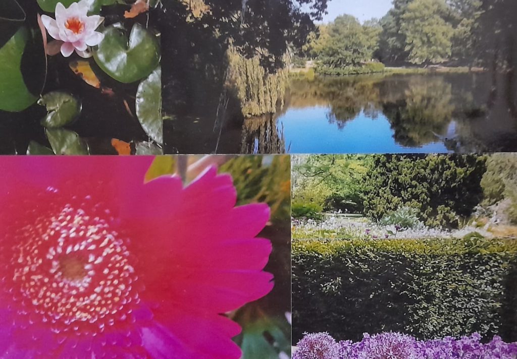 serie: natur – das größte geschenk | ohne titel | 21 x 15 cm | bearbeitete fotos mit acrylfarbe auf zeichenkarton