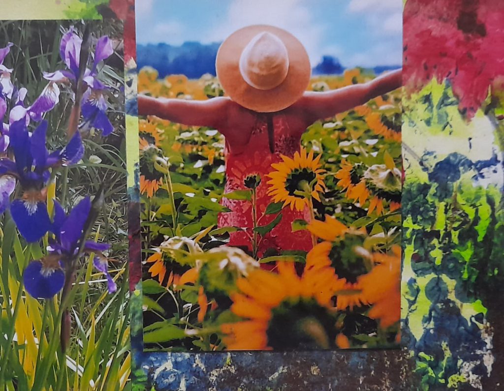 serie: natur – das größte geschenk | ohne titel | 22 x 16 cm | bearbeitete fotos mit acrylfarbe auf zeichenkarton